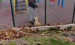 Bilecik’te temizlik seferberliği