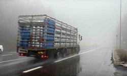 Bolu Dağı’nda sis ve sağanak etkili: Görüş mesafesi 30 metreye düştü