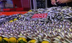 Bolu’da fırtına balık tezgahlarını vurdu