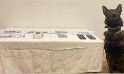 Bolu’da jandarmadan uyuşturucu operasyonu