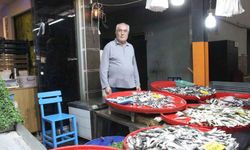 Bozdoğan’da balık tezgahlarının en çok tercih edilen çeşidi hamsi oldu