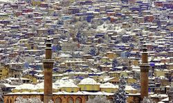 Bursa Ulu Cami dünya finalinde "Viki Anıtları Seviyor"da Türkiye birincisi oldu