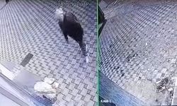 Bursa'da pazar arabası hırsızlığı