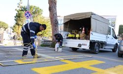 Büyükşehir ekiplerinden Koçarlı ve Germencik’te hummalı çalışma