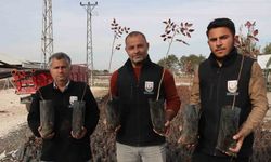 Büyükşehir’den çiftçilere 35 bin fıstık fidanı desteği