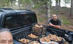 Çameli’de cintar bereketi