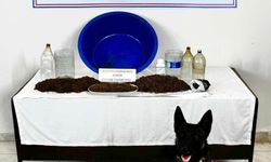 Çankırı’da uyuşturucu operasyonu: 1 gözaltı