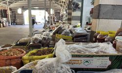 Çermik organik kuruyemiş pazarına yoğun ilgi