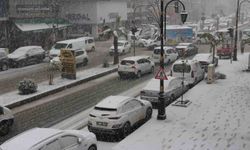 Cizre'de kar yağışı hava ve kara ulaşımını felç etti