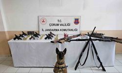 Çorum jandarmasından ’düğün magandaları’na operasyon : 11 gözaltı