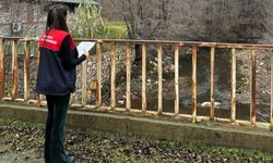 Demirköy'de akarsu denetimleri