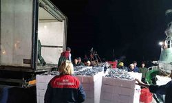 Demirköy’de hamsi denetimi