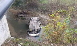 Dereye uçan otomobilin sürücüsü yaralandı