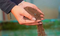 Didim Belediyesi pazar atıklarını komposta dönüştürüyor