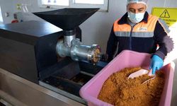 Didim’de her geri dönüşüm, can dostlara umut olacak