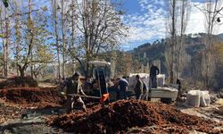 Dikenlerinden kurtulan kestanelerin sofralara yolculuğu başladı