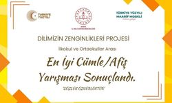 Dilimizin Zenginlikleri Projesi’nde en iyi cümle ve afişler belli oldu
