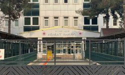 Diyarbakır'da 18 yaşındaki Sümeyye'nin cinayet şüphelisi tutuklandı