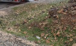 Diyarbakır'da seyir halindeki tır alev aldı