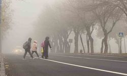 Diyarbakır’da sis görüş mesafesini düşürdü
