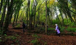 Doğaseverler Sakarya’nın eşsiz doğasını keşfetti