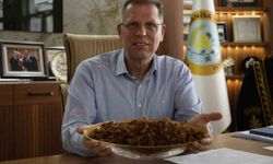 Dünyaca ünlü Manisa Çekirdeksiz Sultaniye Üzümü AB tesciline gün sayıyor