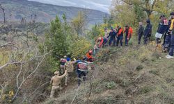Düştüğü çalılık mezarı oldu
