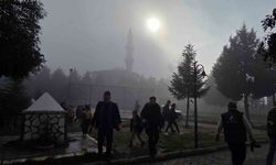 Düzce’de sis etkili oldu