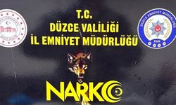 Düzce’de uyuşturucu operasyonu 1 tutuklama
