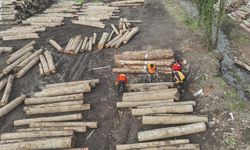 Düzce’den 22 bin 310,95 ton orman ürünü ihraç edildi