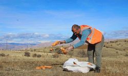 Elaızığ’da doğaya yem bırakıldı