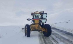 Eleşkirt’te kar yağışı sonrası kapanan köy yolları ulaşıma açıldı
