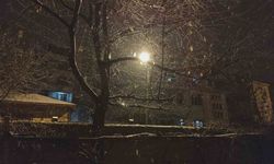 Erciş’te kar yağışı