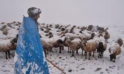 Erzincan yaylalarından köylere uzanan zorlu kış mesaisi