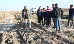 Erzincan’da 111 bin tuz çalısı toprakla buluşturuldu