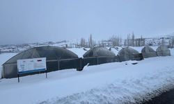 Erzincan'da kuvvetli kar yağışı uyarısı