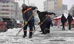 Erzurum Büyükşehir’den karla mücadele