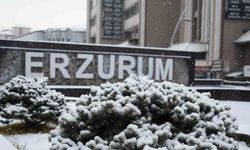 Erzurum güne karla başladı