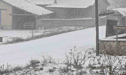 Eskişehir'in kırsalı beyaza büründü