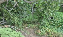 Fethiye’de kazada yaralanan genç, 123 günlük hayat mücadelesini kaybetti