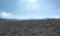 Geçici maden arama izni verilen meralarda kontroller yapıldı