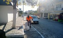 Germencik’te kireçleme ve ağaç budama çalışması