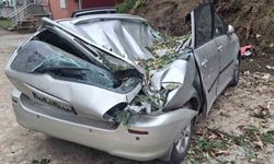 Giresun'da devrilen ağaç bir aracı kullanılamaz hale getirdi