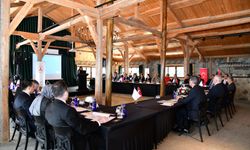 Giresun'da 'Düzensiz Göçle Mücadele Koordinasyon' toplantısı gerçekleştirildi