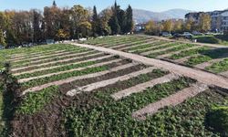 Gölcük’e yeni mezarlık alanları hazırlandı