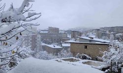 Hakkari’de 13 köy ve 30 mezra yolu ulaşıma kapandı