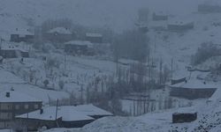 Hakkari’de 43 yerleşim yerinin yolu ulaşıma kapandı