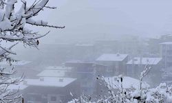 Hakkari’de kar yağışı yerini sise bıraktı