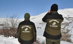 Hakkâri’de yasa dışı avcılığa ağır ceza