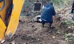 Hatay’da dereye düşen inek itfaiye ekipleri tarafından kurtarıldı